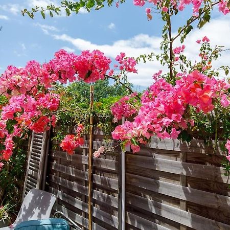 Apartament L'Annonciade-Calme-Terrasse-Parking Cannes Zewnętrze zdjęcie
